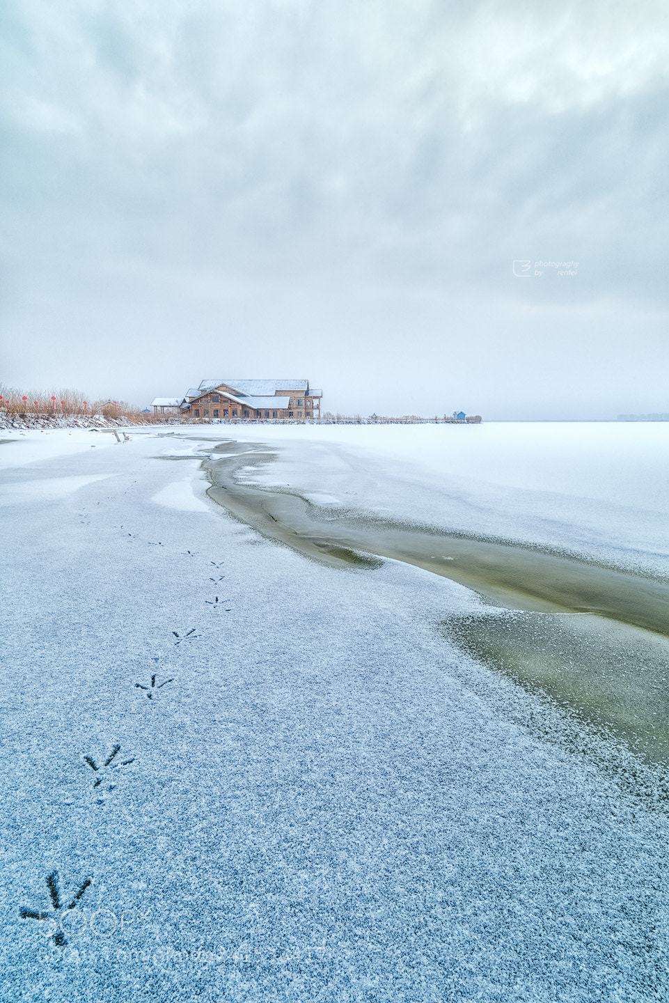 Nikon D810 sample photo. 2018年的第一场雪 photography