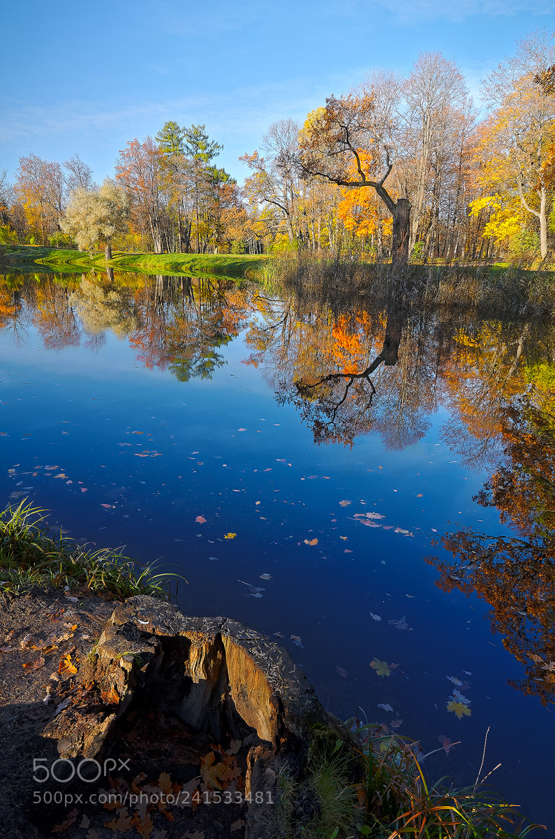Pentax K-5 sample photo. The colors of fall... _67_ photography