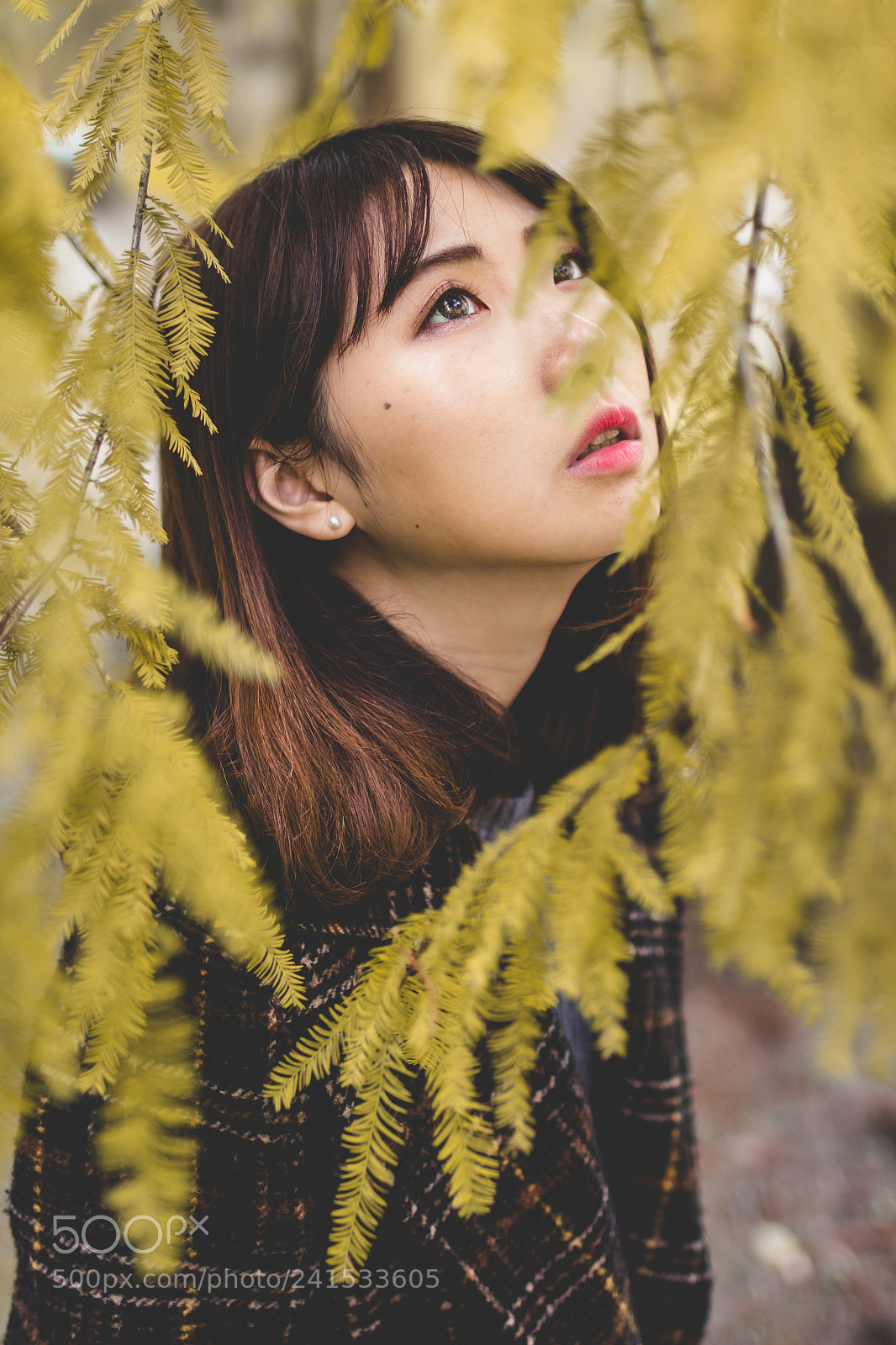 Canon EOS 60D sample photo. Look for photography