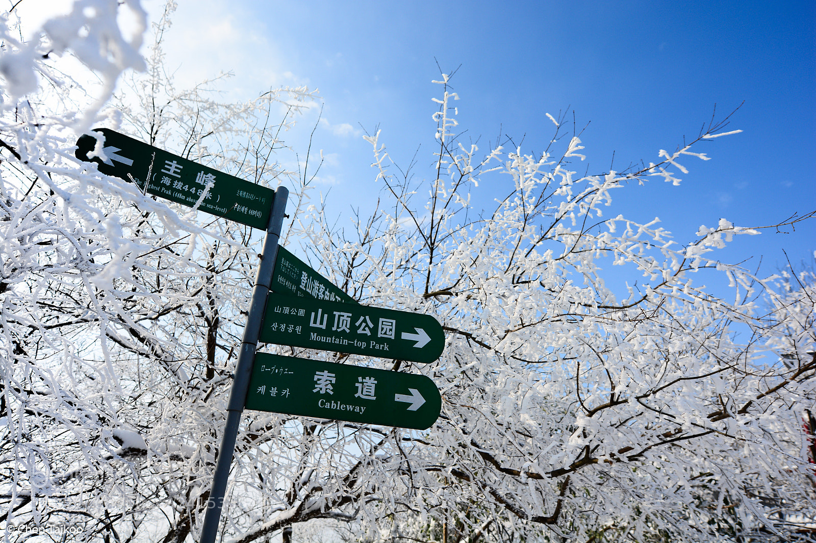 Nikon D7100 sample photo. Cm photography