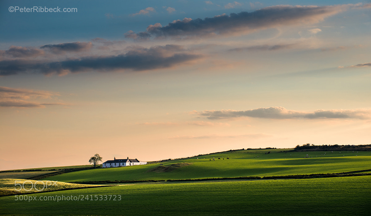 Nikon D800 sample photo. Isle of bute photography