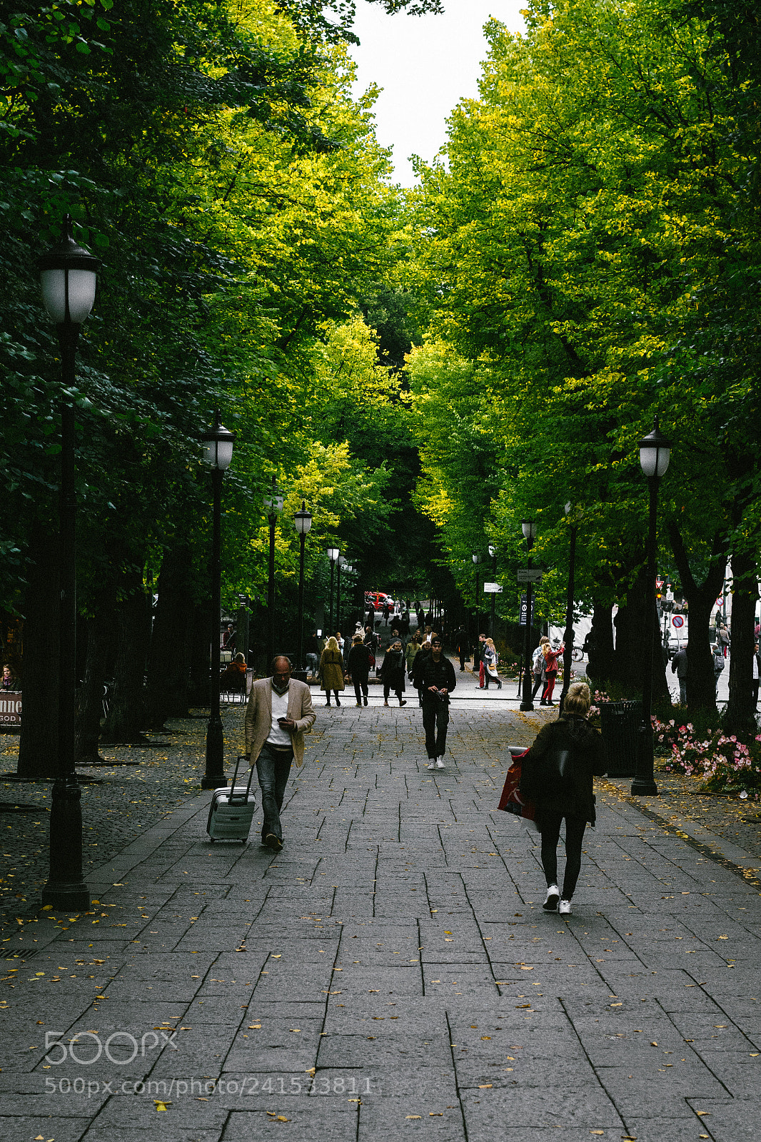 Nikon D7100 sample photo. Green street photography