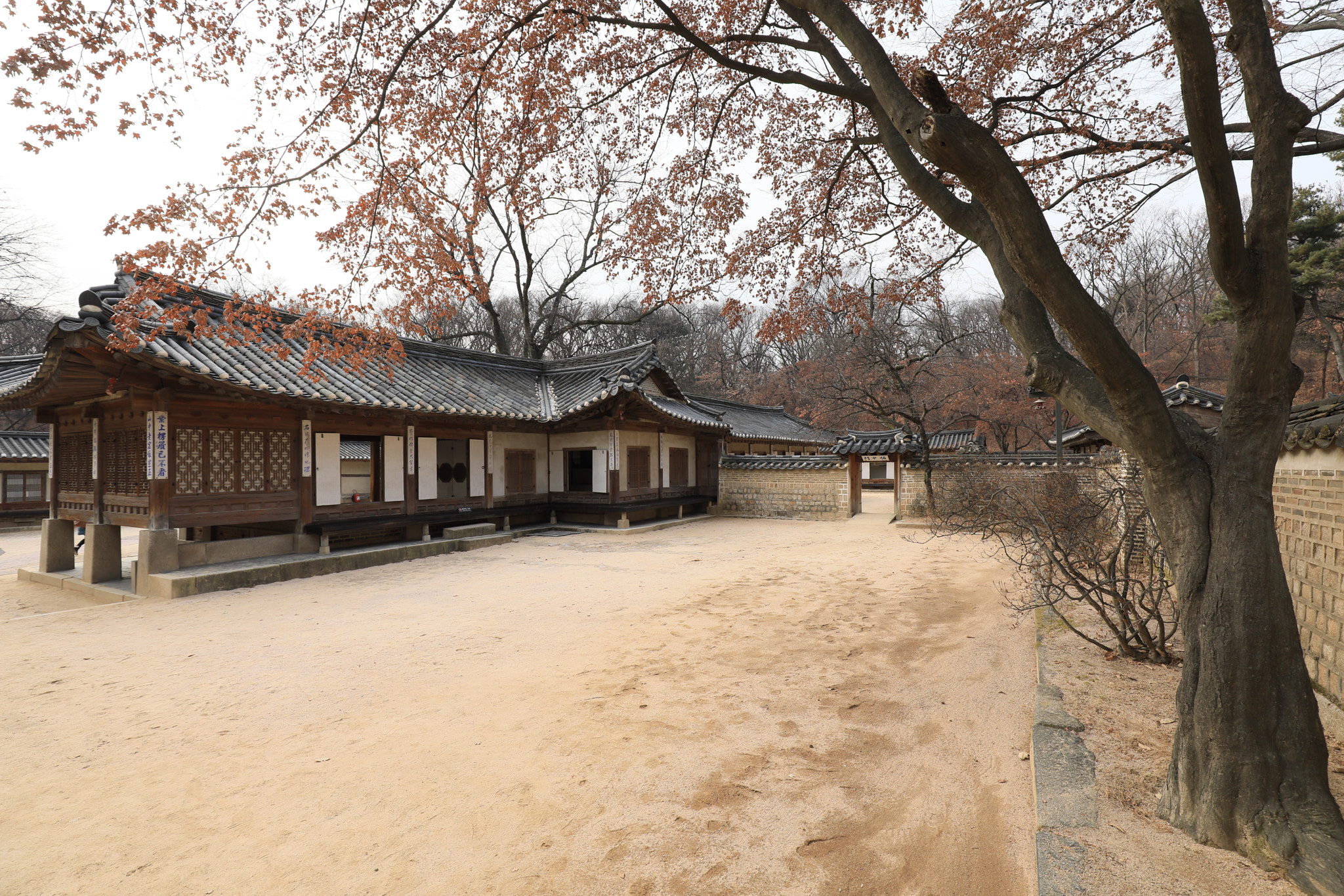 Canon EF 16-35mm F4L IS USM sample photo. Beautiful korea photography