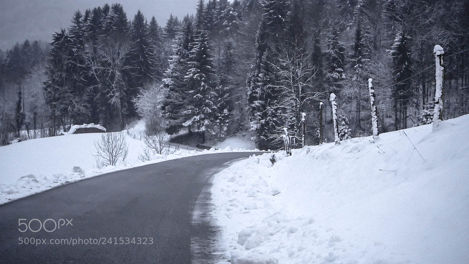 Panasonic Lumix DMC-GX85 (Lumix DMC-GX80 / Lumix DMC-GX7 Mark II) sample photo. Frozen photography