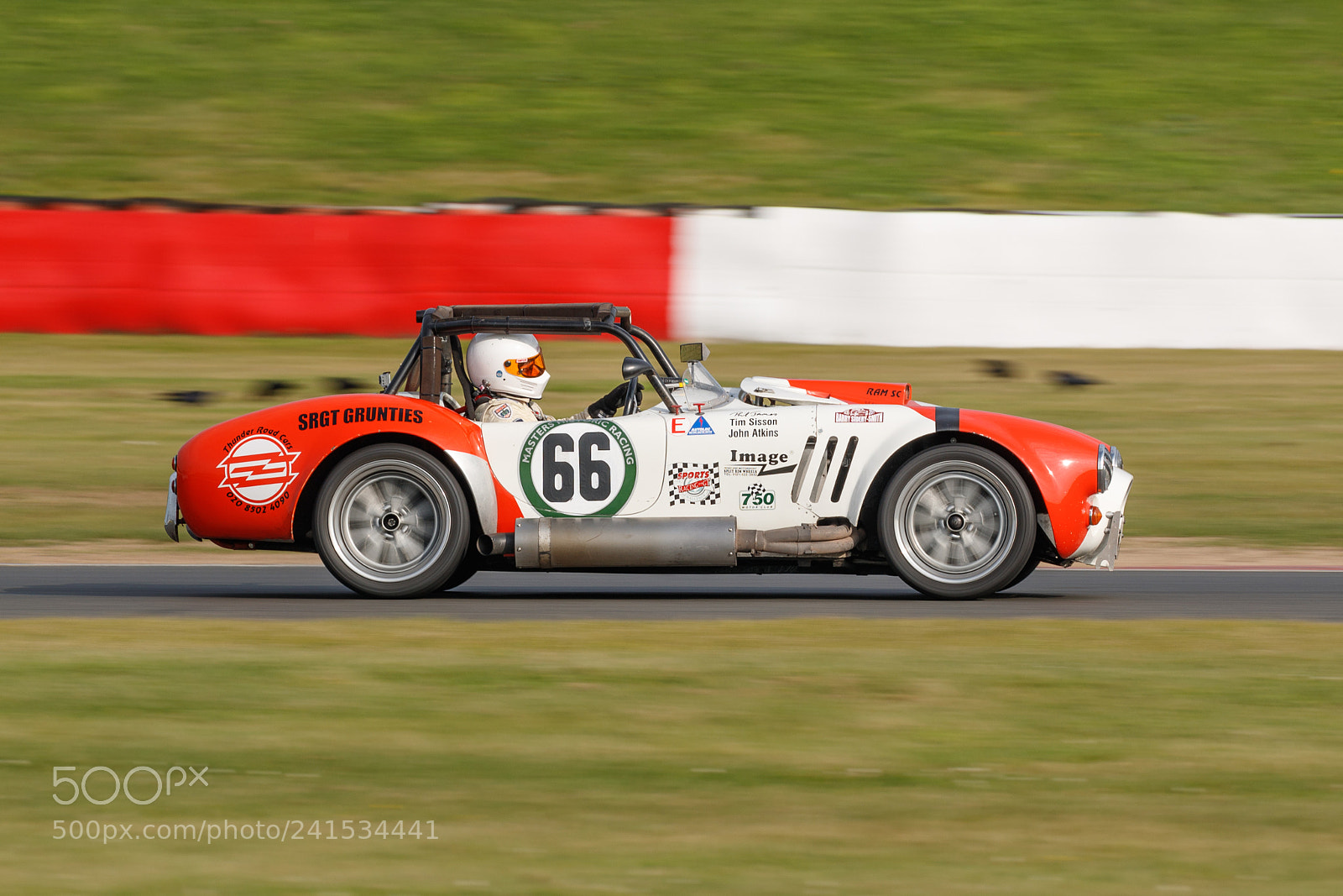 Canon EOS-1D X Mark II sample photo. Cobra photography