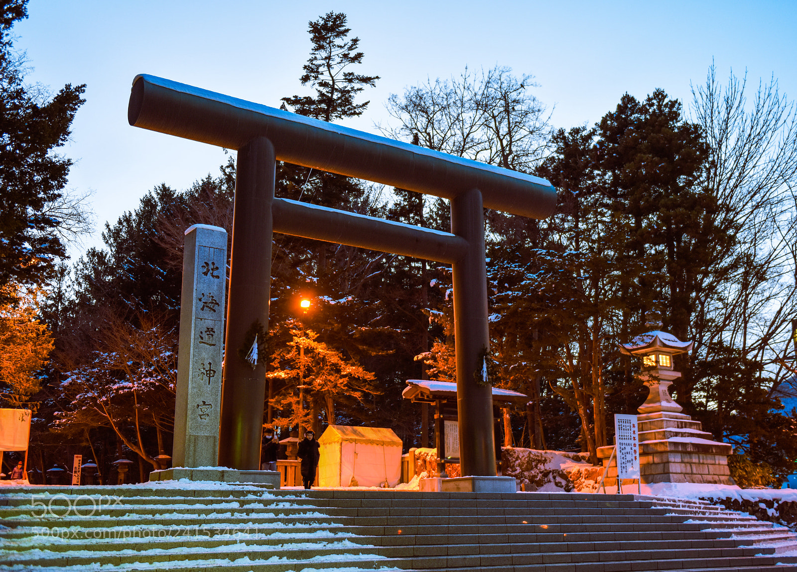 Nikon D810 sample photo. Hokkaido jingu photography