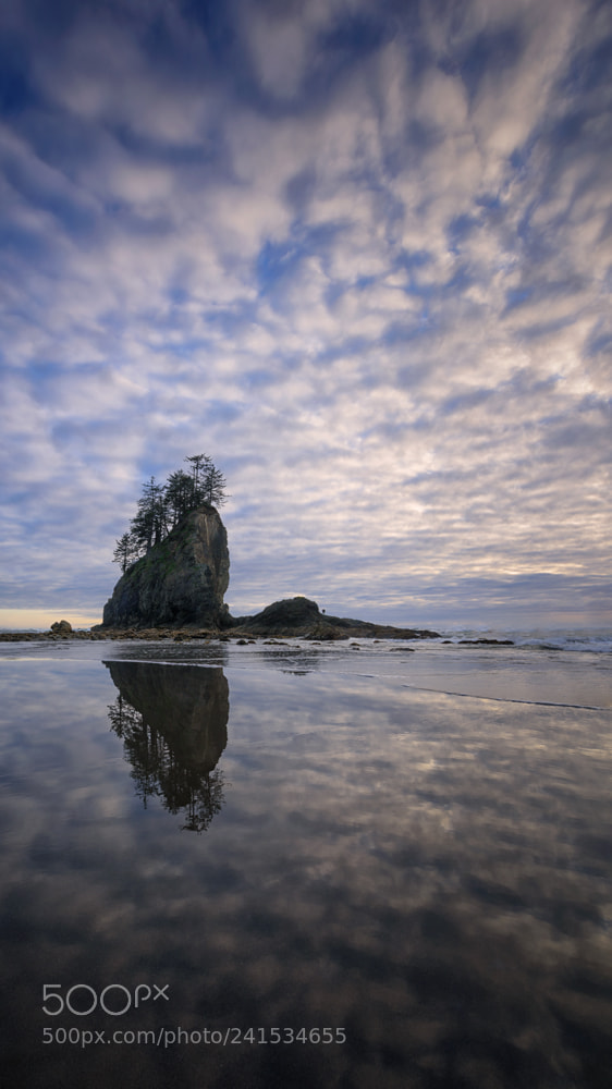 Nikon D810 sample photo. Reflecting at second beach photography