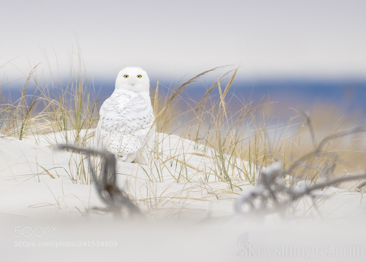 Nikon D7200 sample photo. Afternoon at the beach photography