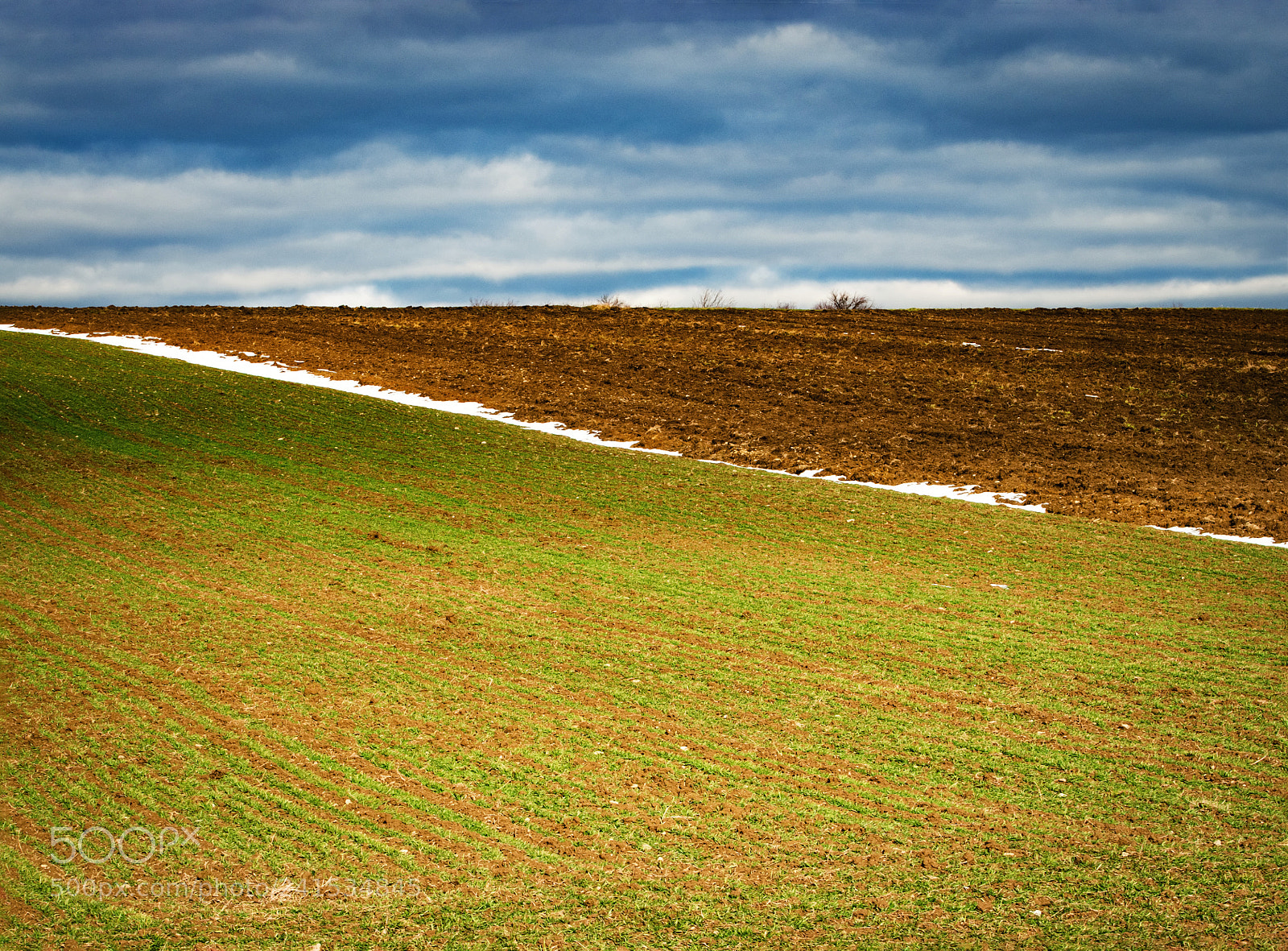 Nikon D5500 sample photo. Minimalist fields in the photography