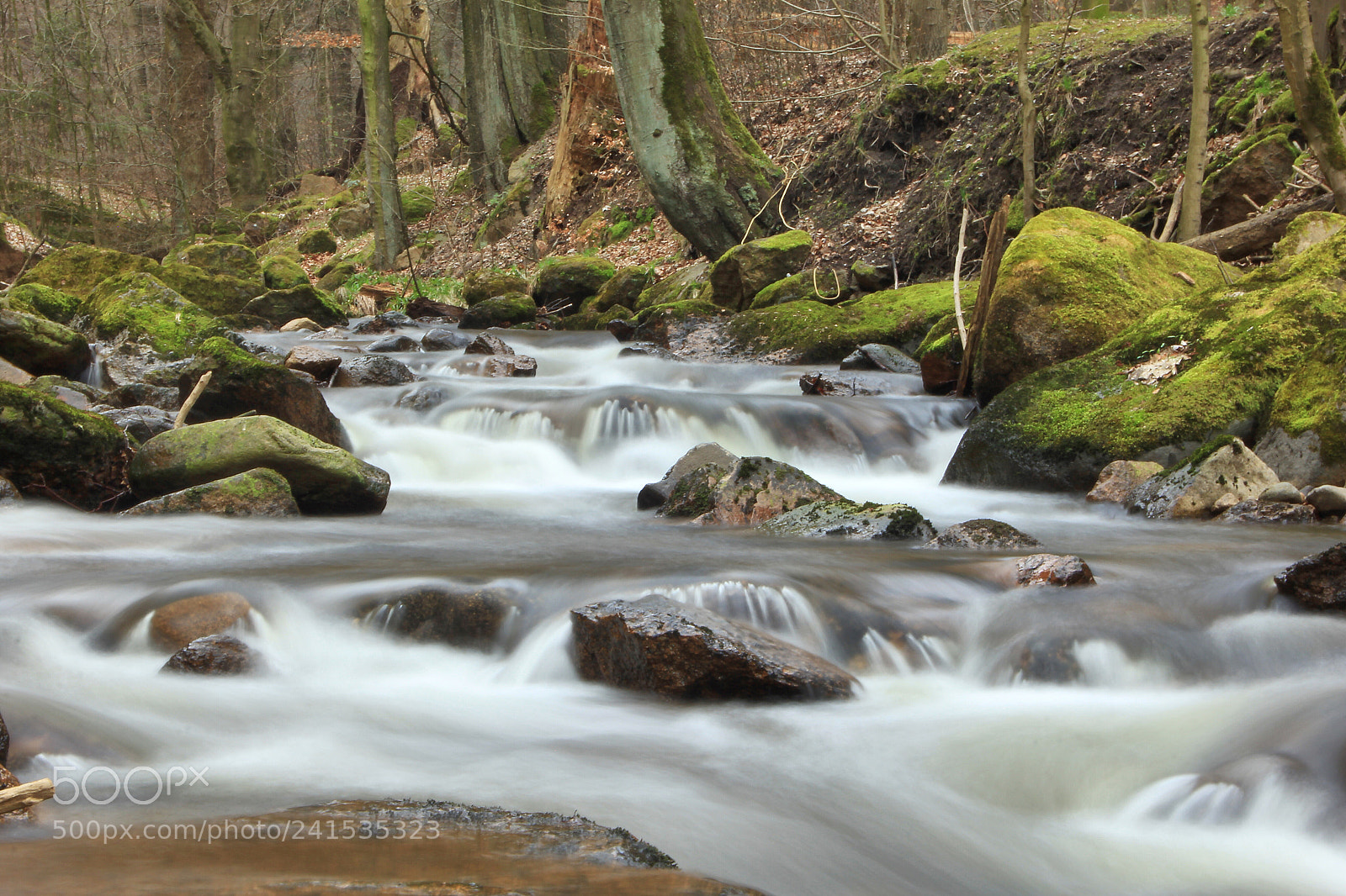 Canon EOS 60D sample photo. ....he flows.... photography