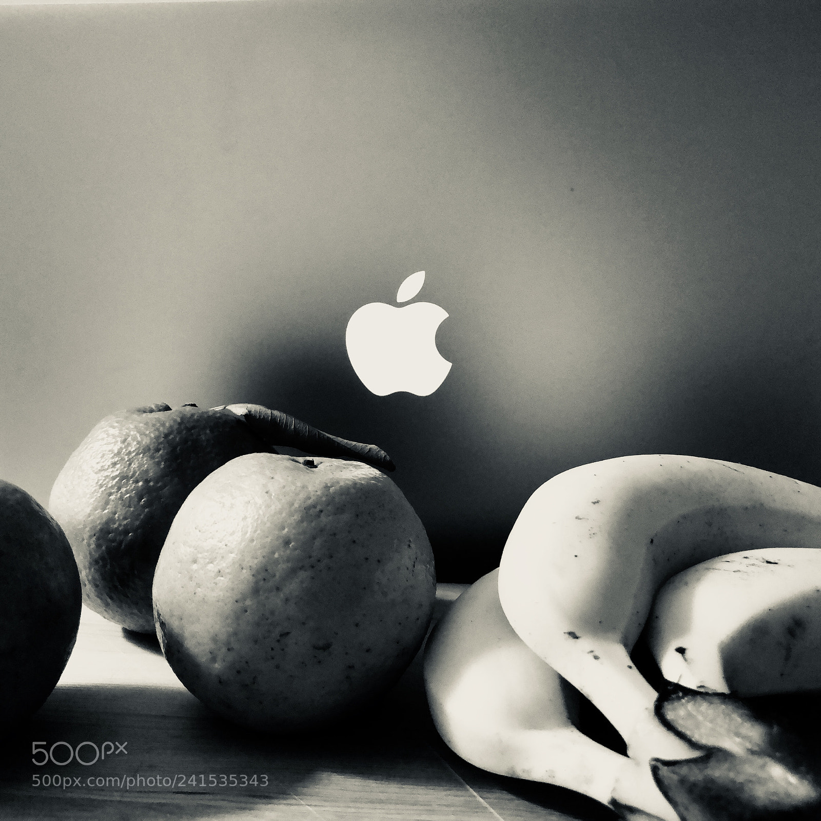 Apple iPhone 8 Plus sample photo. Untitled photography