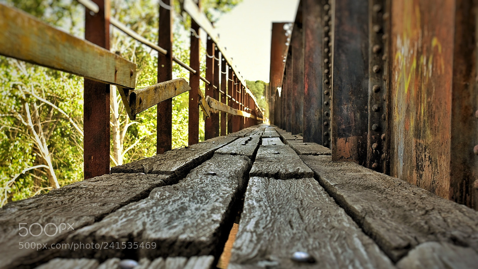 Nikon D3400 sample photo. Camino ferroviario photography