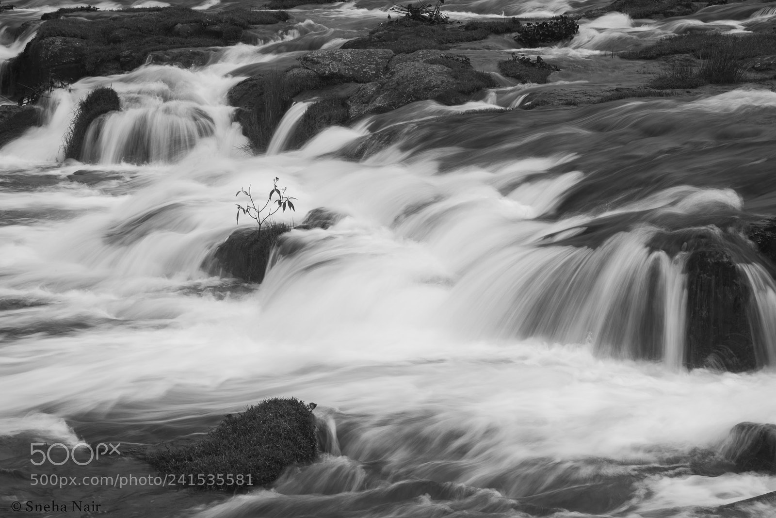 Nikon D810 sample photo. •pykara falls• photography