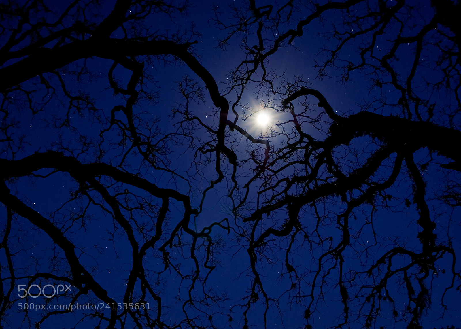 Pentax K10D sample photo. Untitled photography