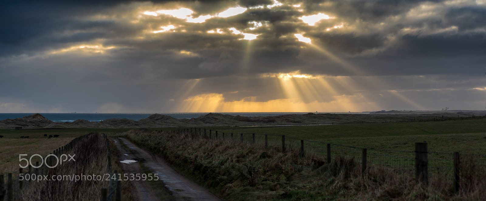 Pentax K-1 sample photo. The road to rattray photography