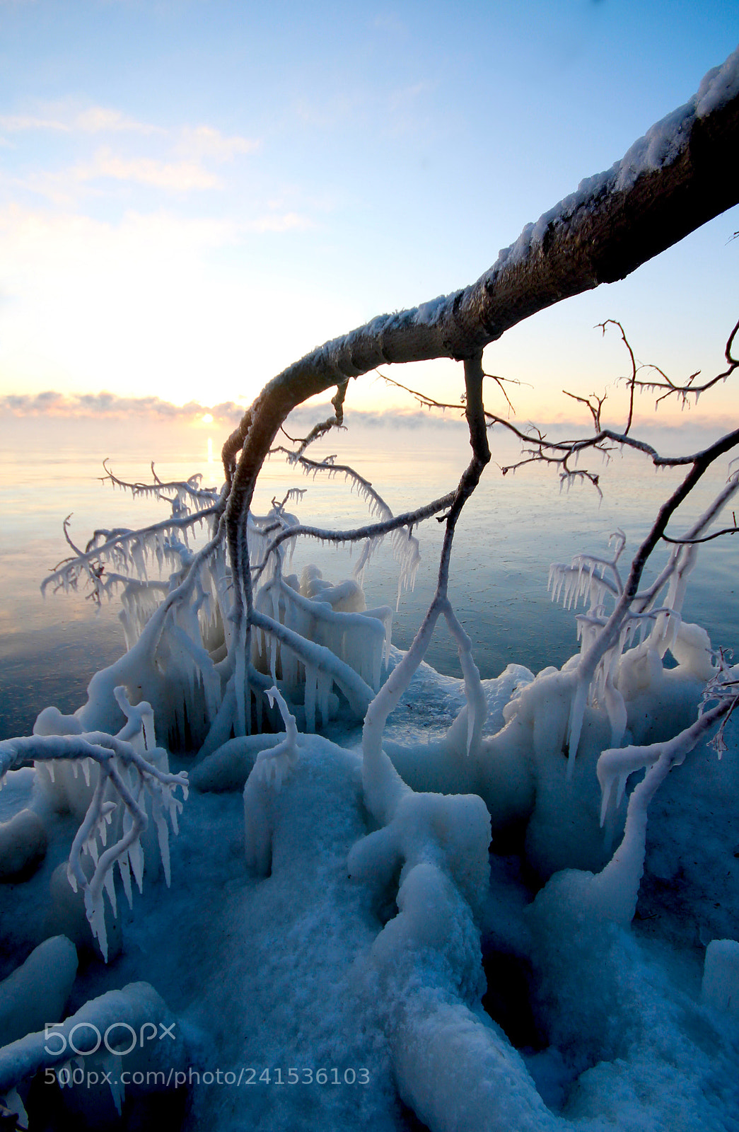 Canon EOS 700D (EOS Rebel T5i / EOS Kiss X7i) sample photo. Branch ice photography