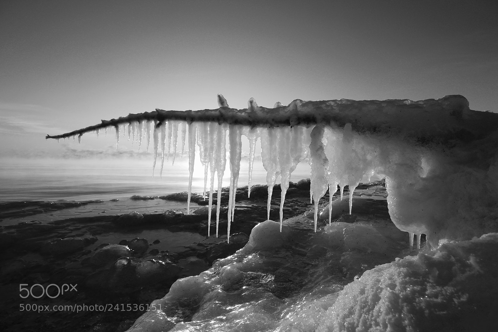 Canon EOS 700D (EOS Rebel T5i / EOS Kiss X7i) sample photo. Icicle branch b&w photography