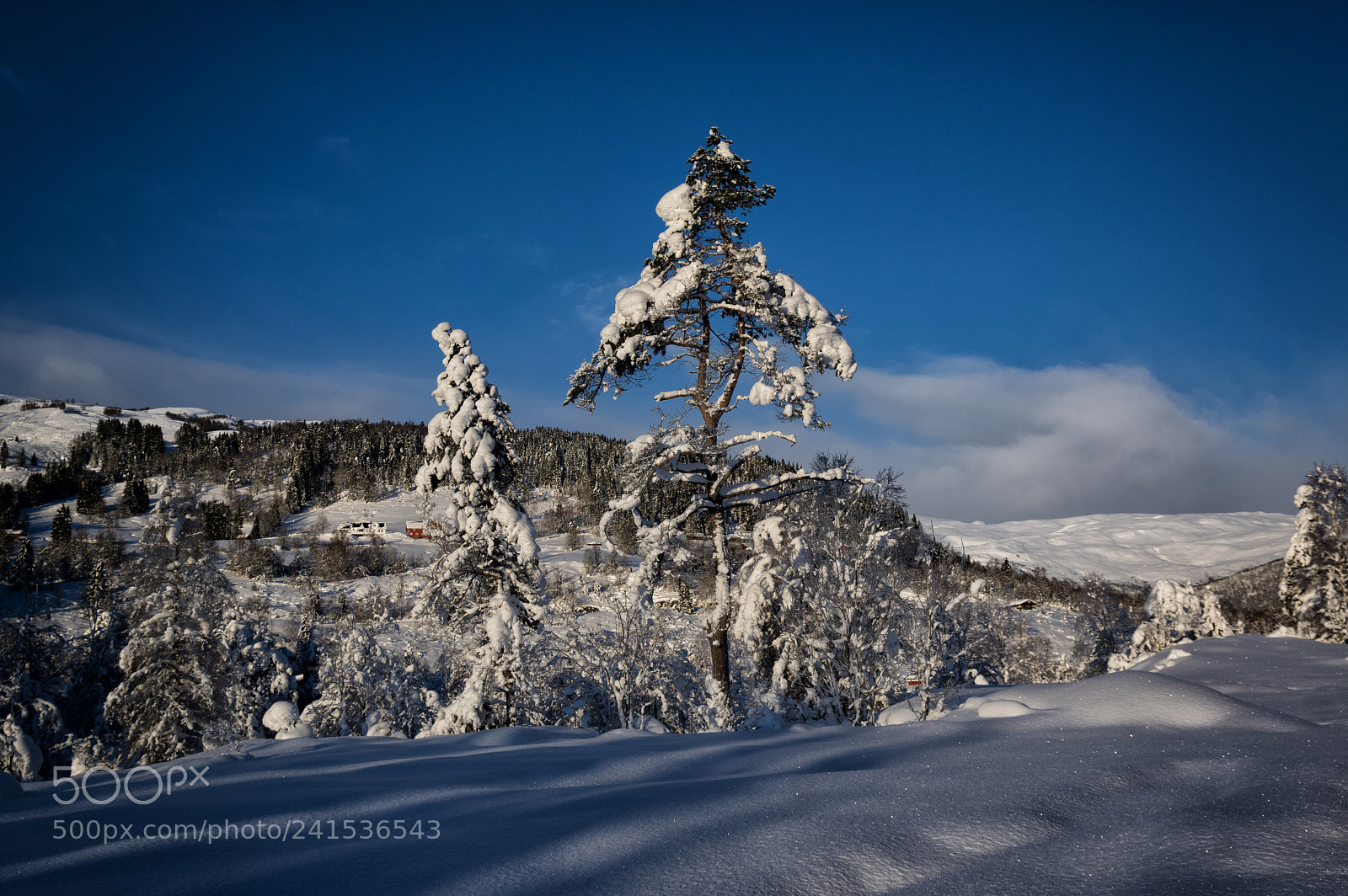 Pentax K-3 II sample photo. Winter wonderland photography