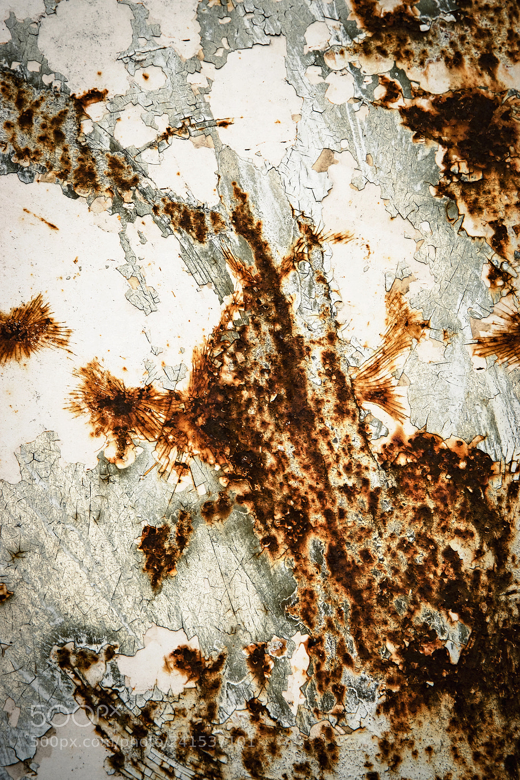 Nikon D5500 sample photo. Rusty surface of paint photography
