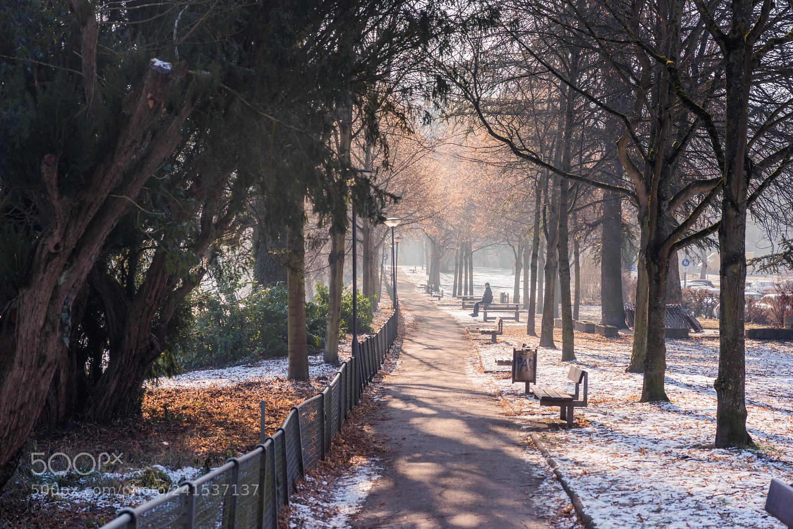 Nikon D810 sample photo. [ early one morning ] photography