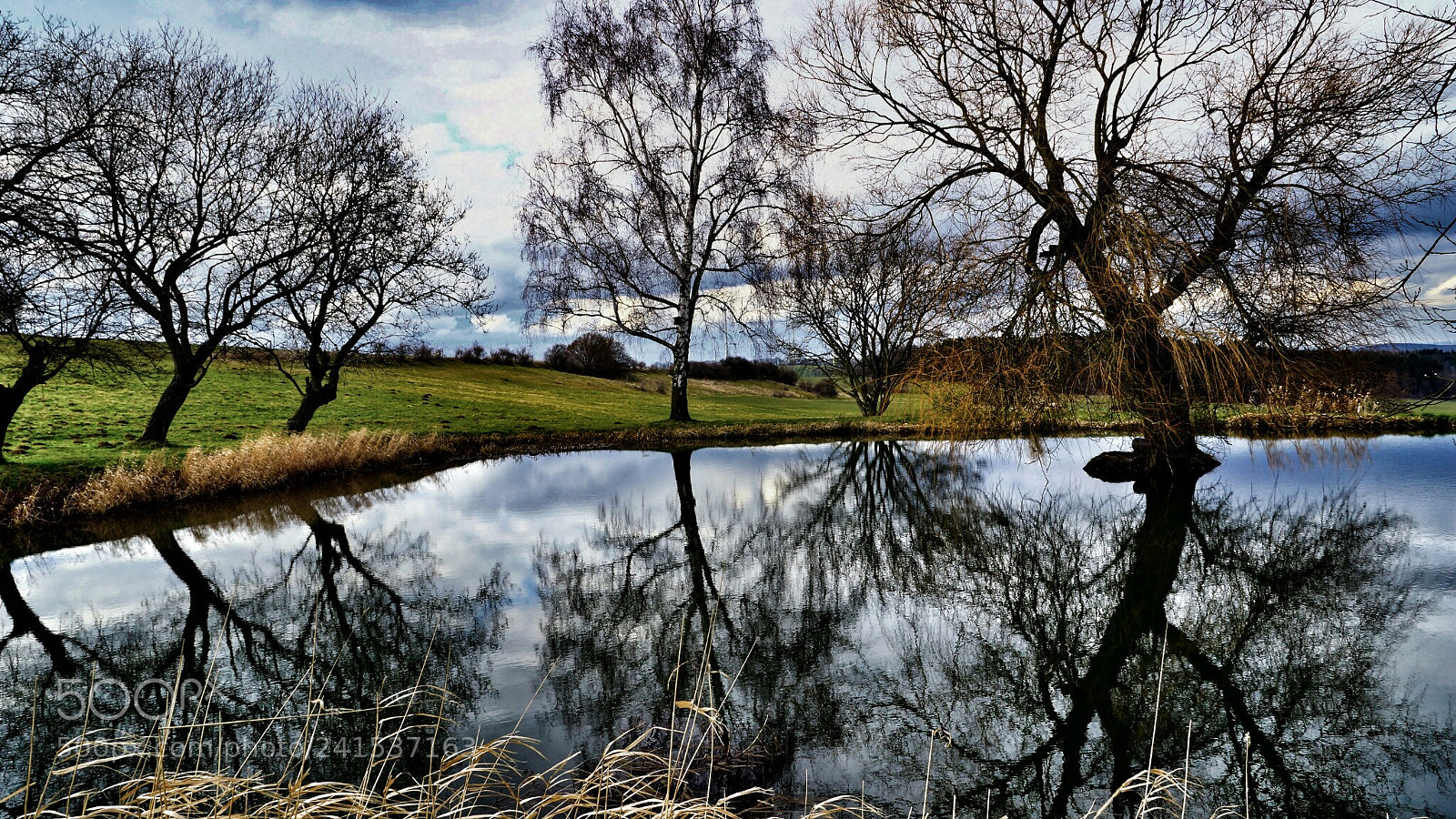 Sony SLT-A77 sample photo. Untitled photography