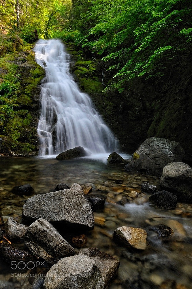 Nikon D700 sample photo. Whiskeytown falls photography