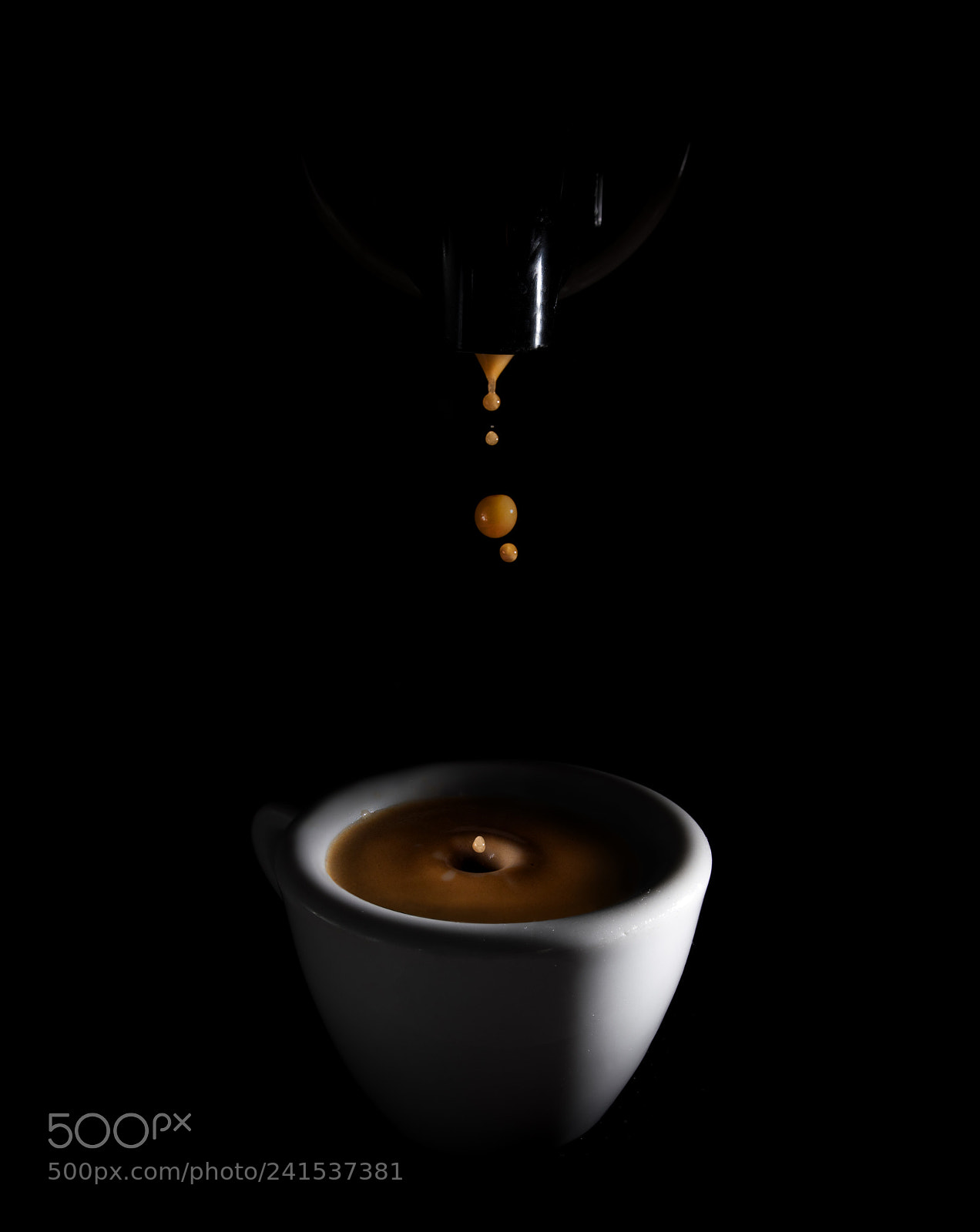 Nikon D500 sample photo. Morning joy photography