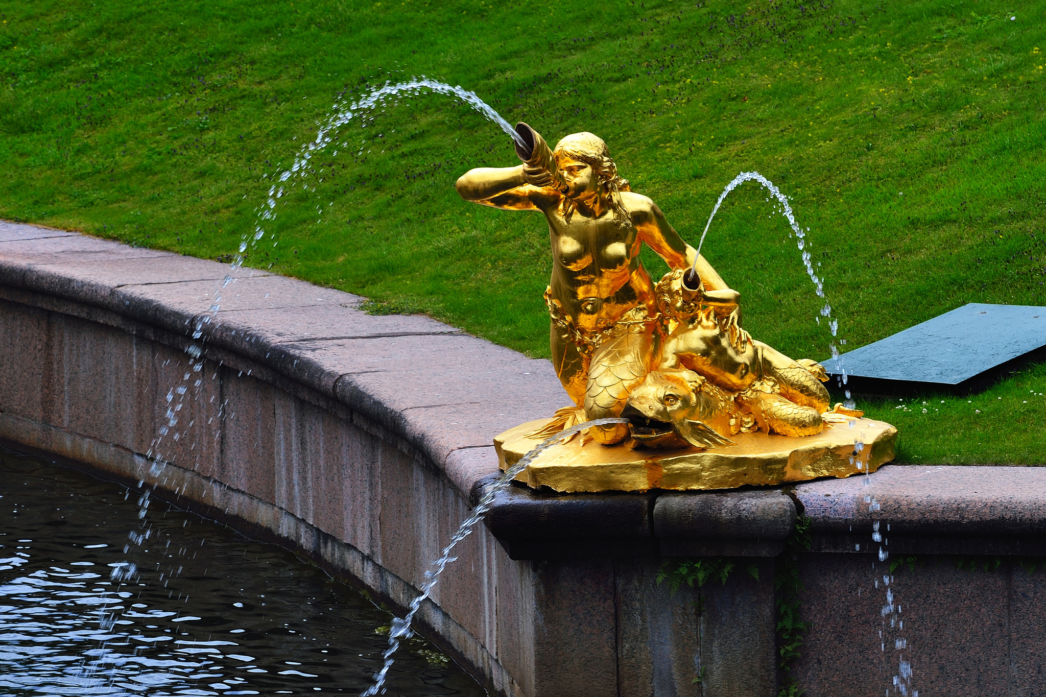 Nikon Df sample photo. Freeze photography