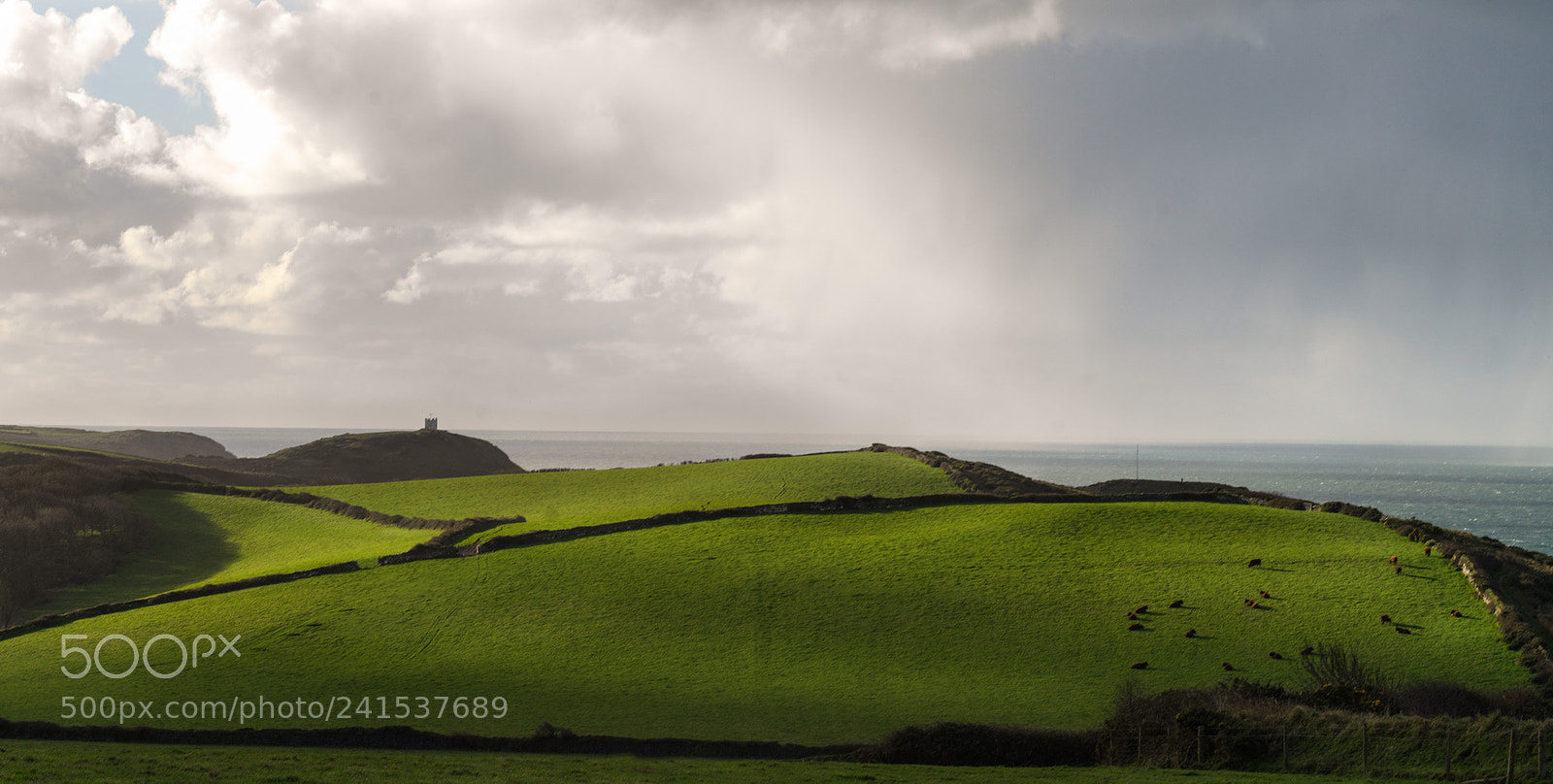 Hasselblad X1D-50c sample photo. Boscastle meadow on the photography