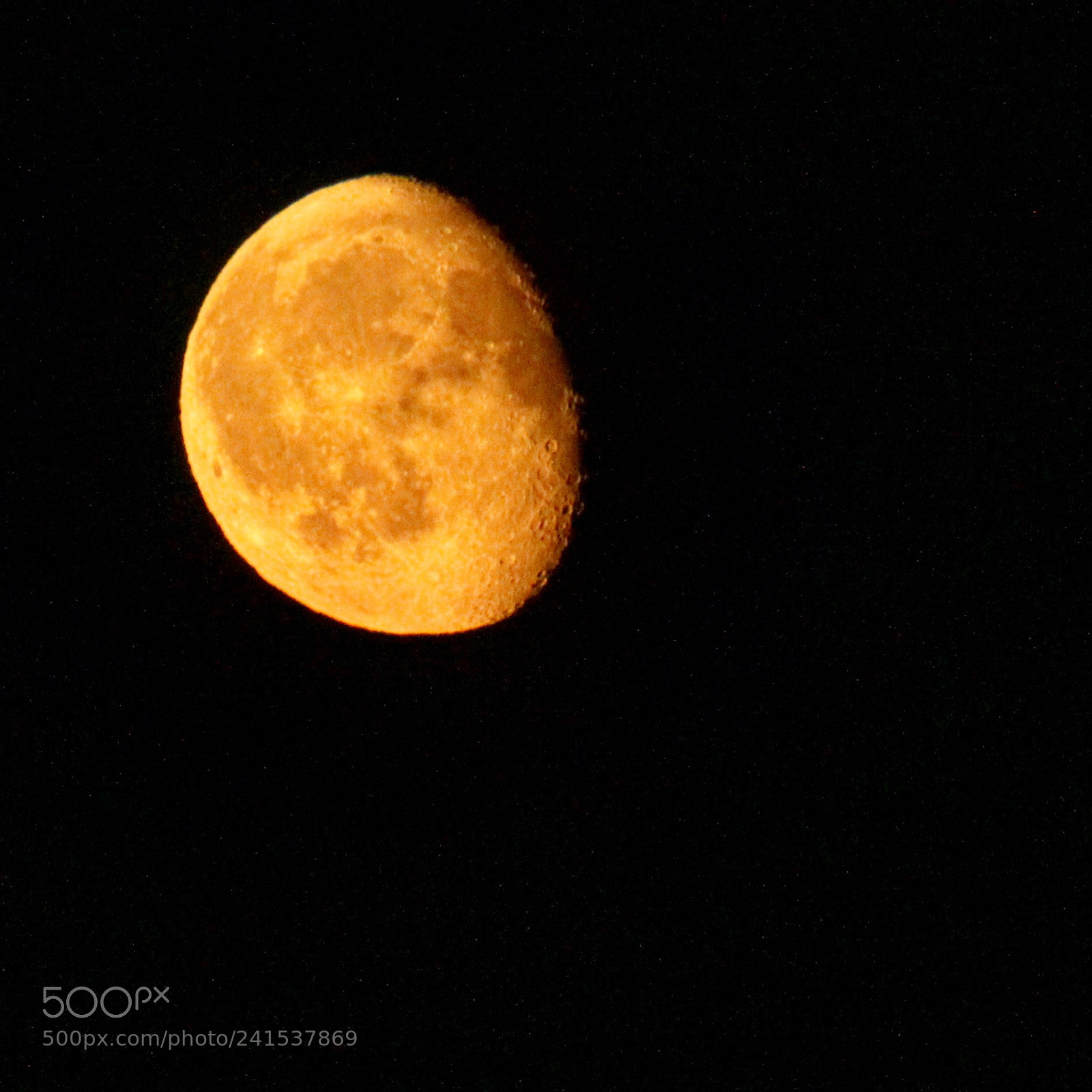 Canon EOS 60D sample photo. Untitled photography