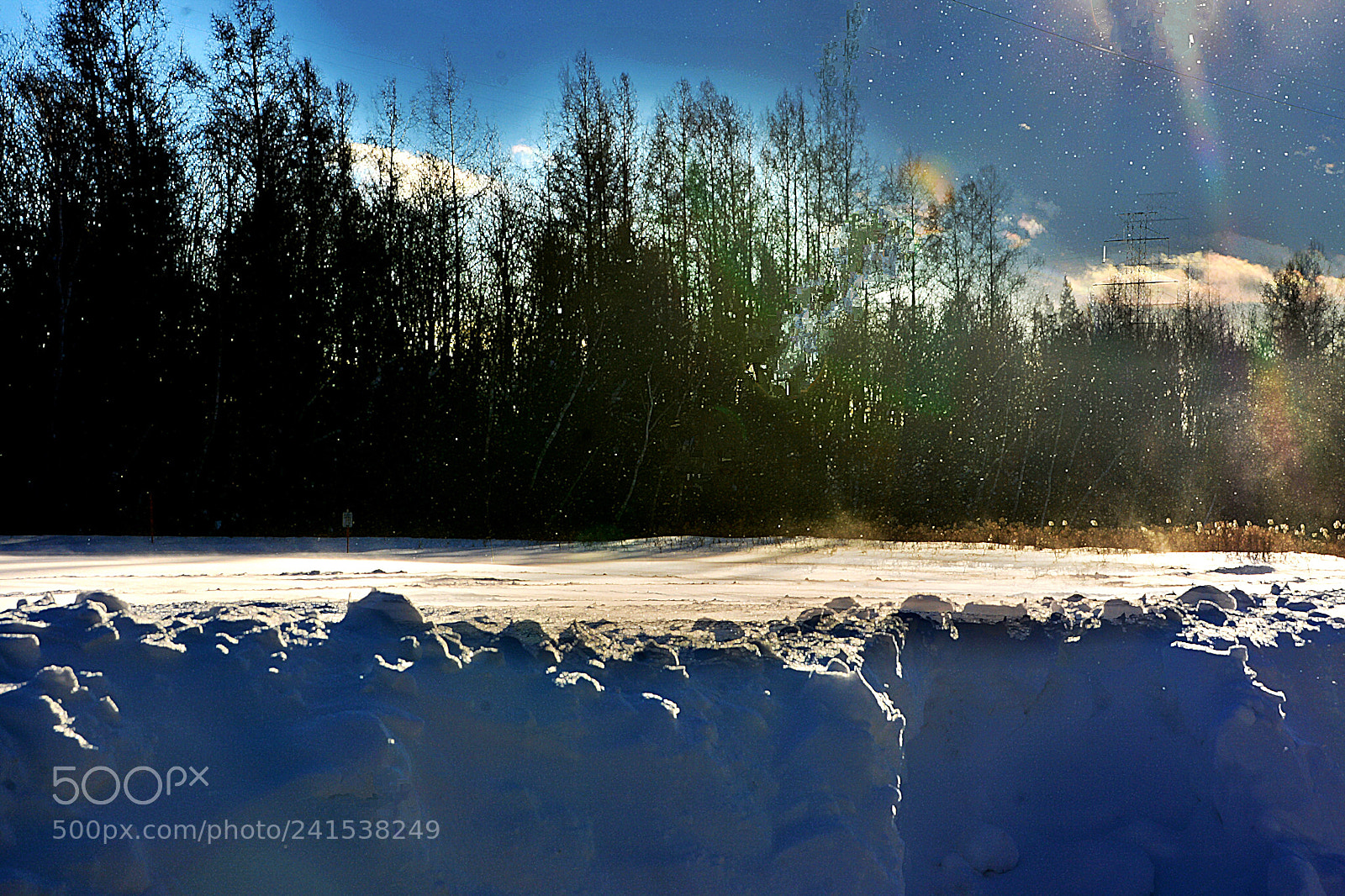 Nikon D7100 sample photo. Trop froid! so cold! photography