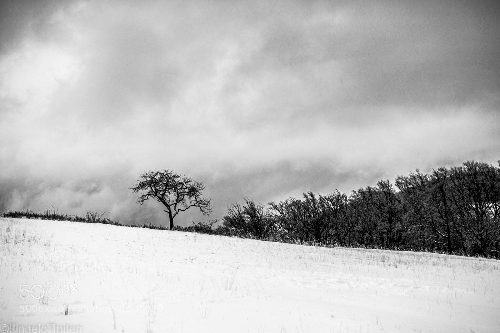 Samsung NX1 sample photo. Grey photography