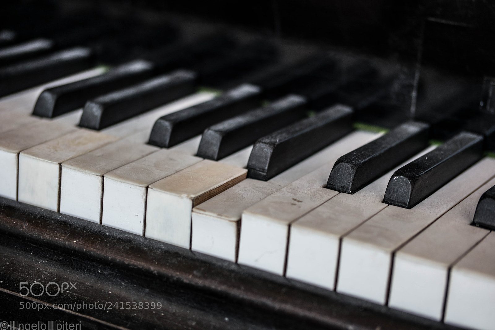 Samsung NX1 sample photo. Hang out (von ) photography