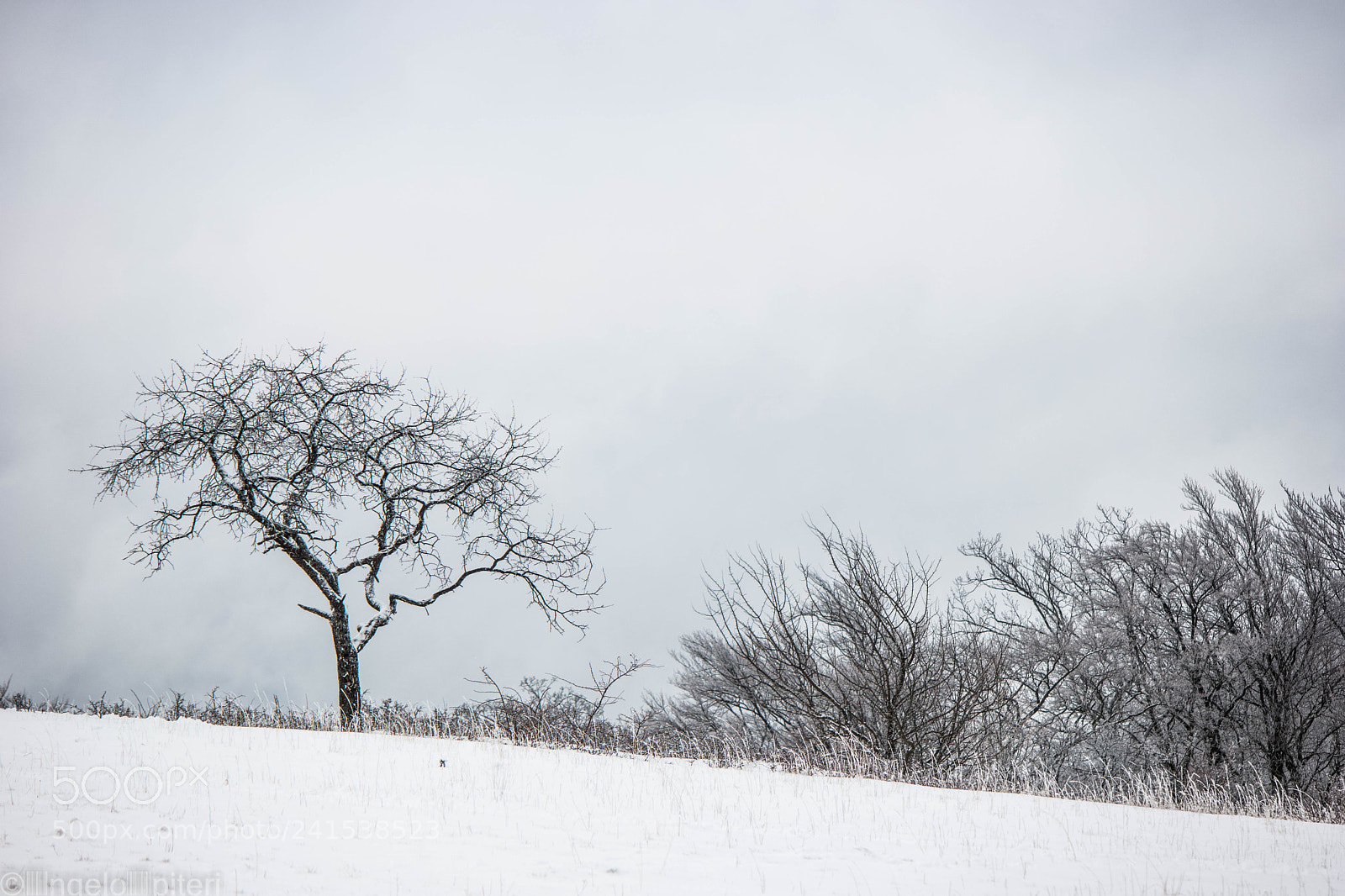 Samsung NX1 sample photo. Lonely photography