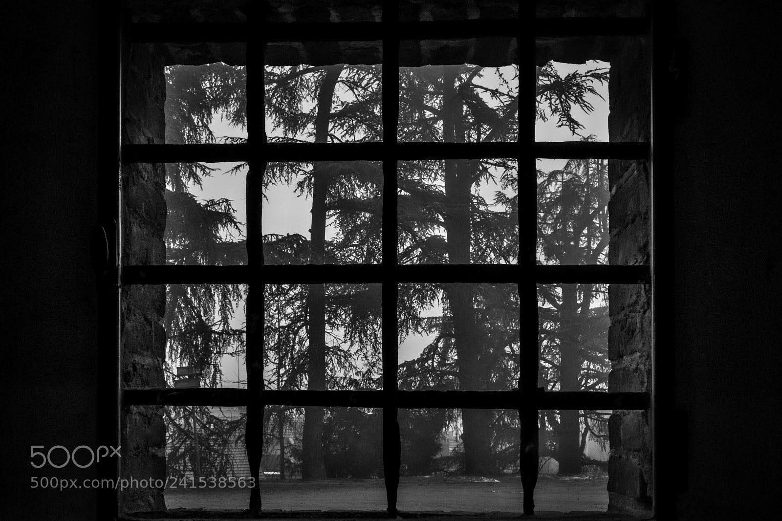 Fujifilm X-T2 sample photo. Outdoor photography