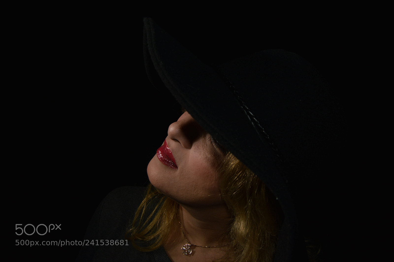 Nikon D3200 sample photo. Spotlight photography