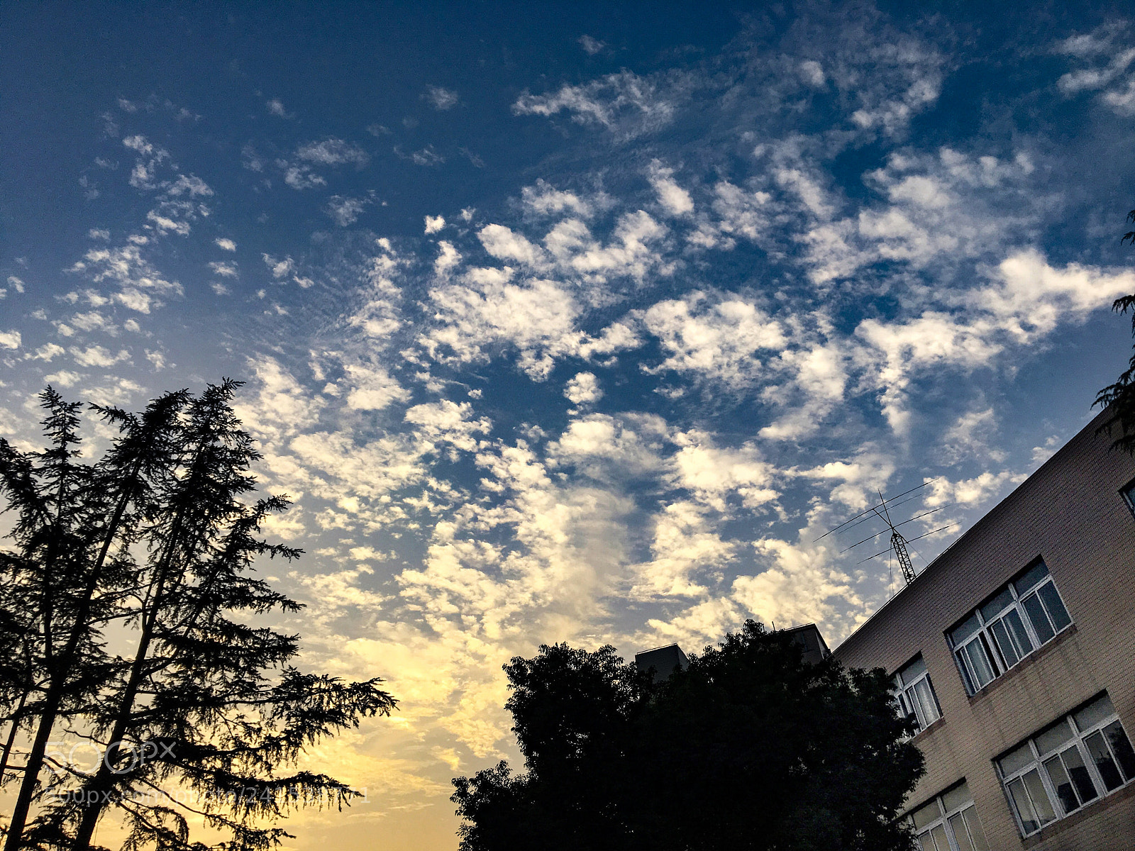 Apple iPhone 6s sample photo. One day photography