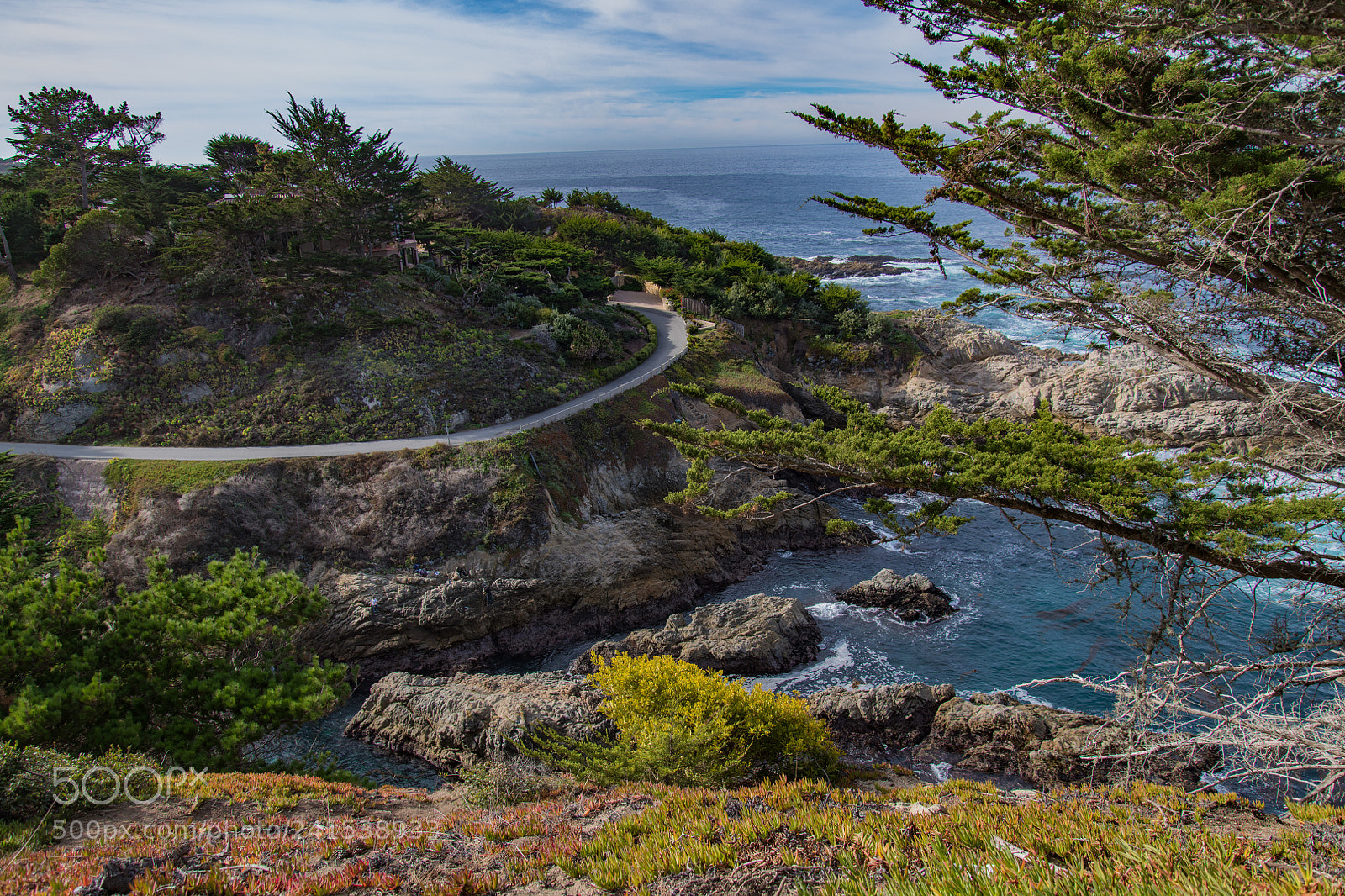 Nikon D850 sample photo. Monterey county photography