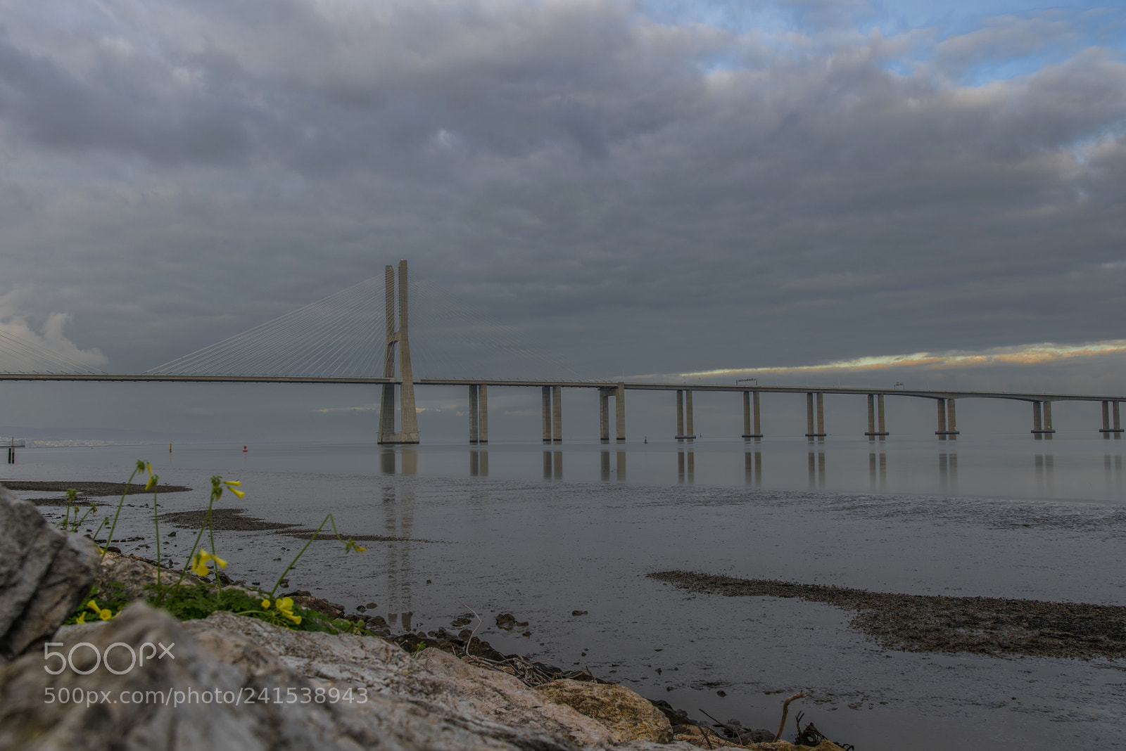 Nikon D810 sample photo. The bridge photography