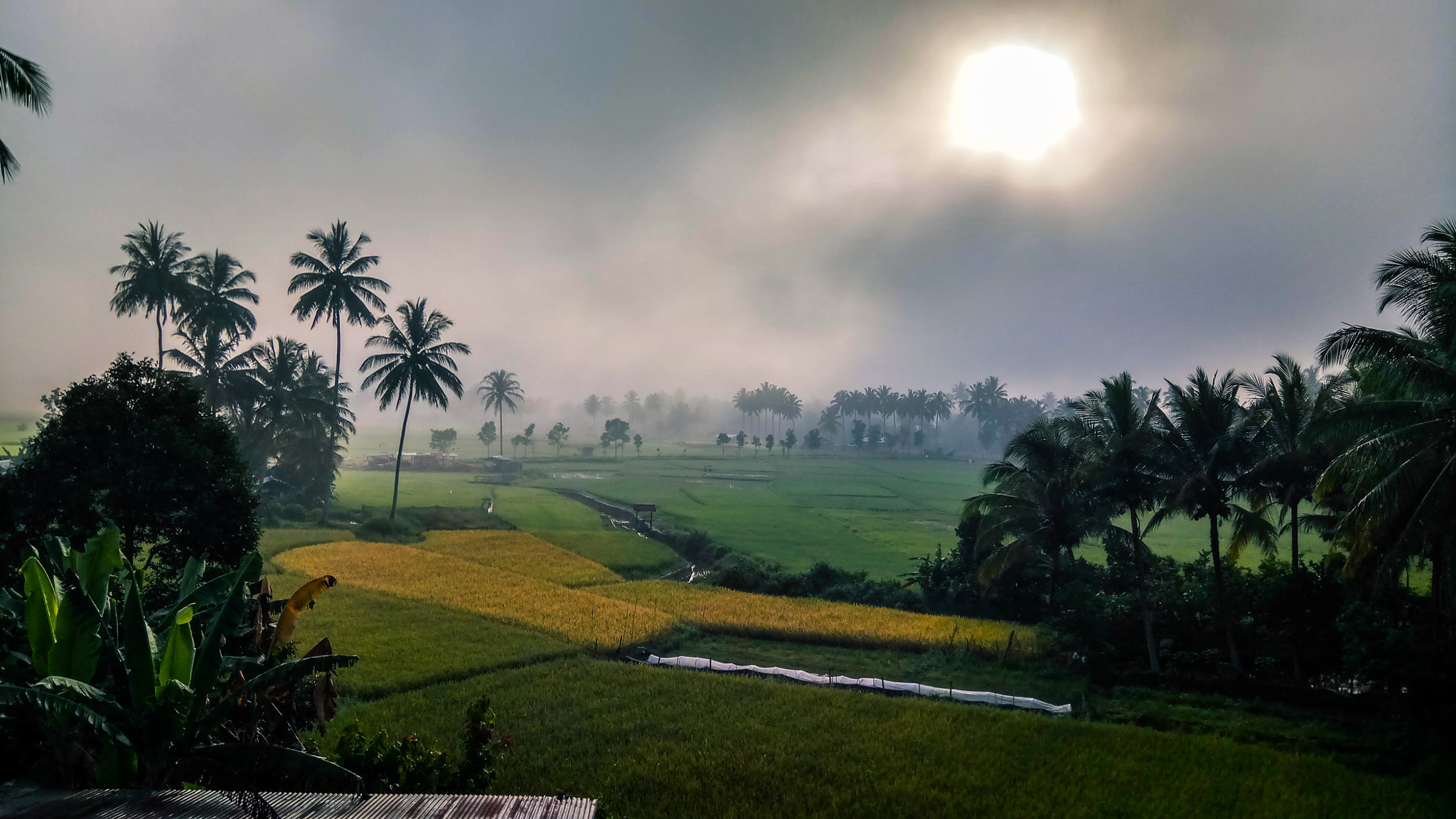 Xiaomi Redmi Pro sample photo