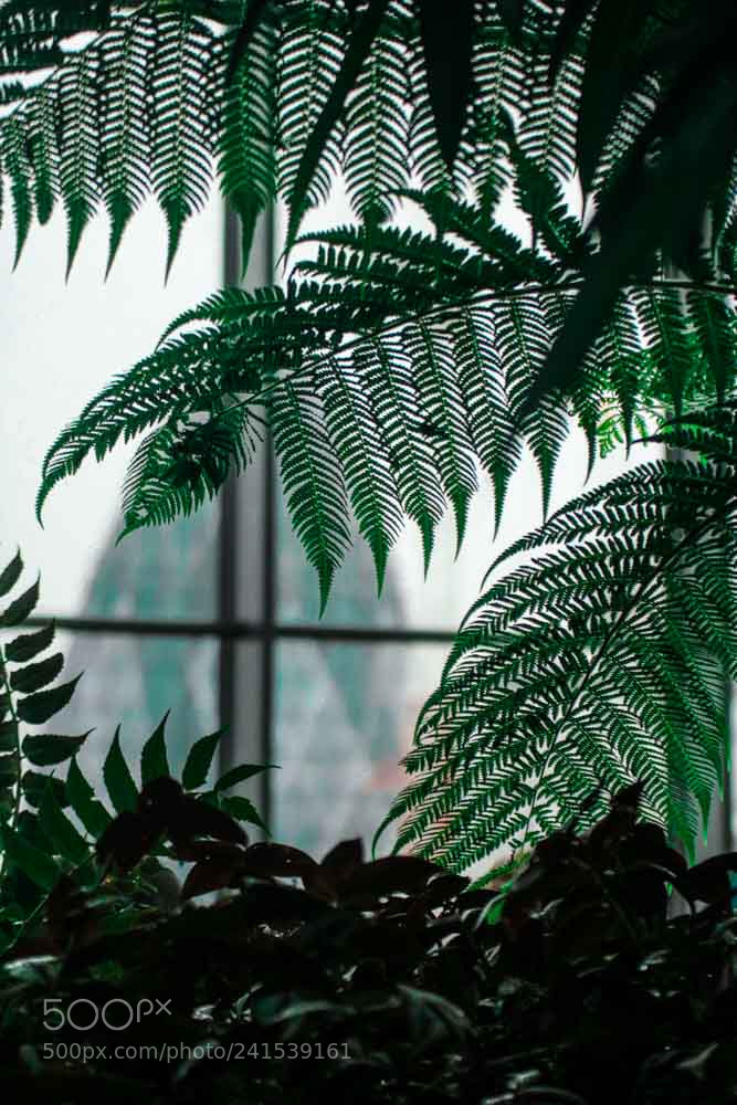 Canon EOS 750D (EOS Rebel T6i / EOS Kiss X8i) sample photo. London sky garden photography
