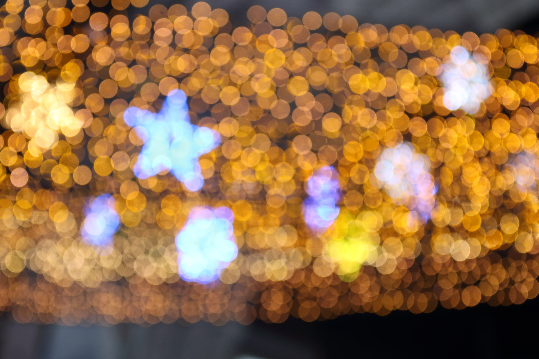 Canon EF 70-200mm F2.8L IS II USM sample photo. Star photography