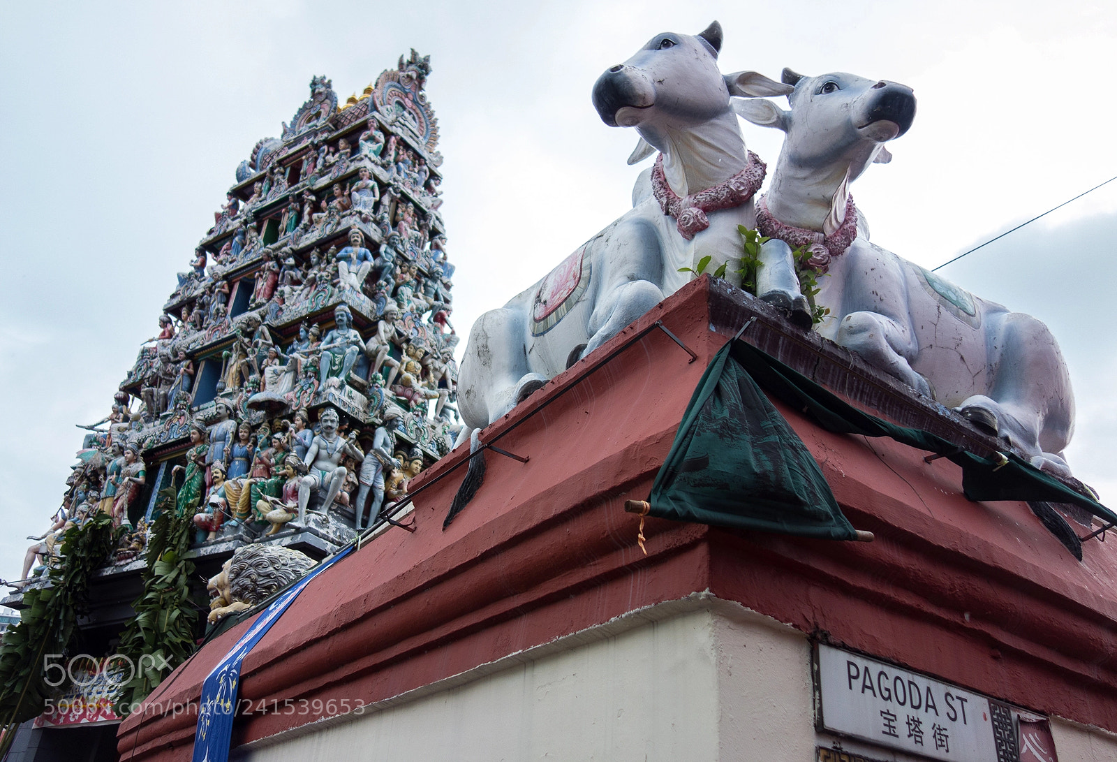 Sony Cyber-shot DSC-RX100 sample photo. Kls web photography