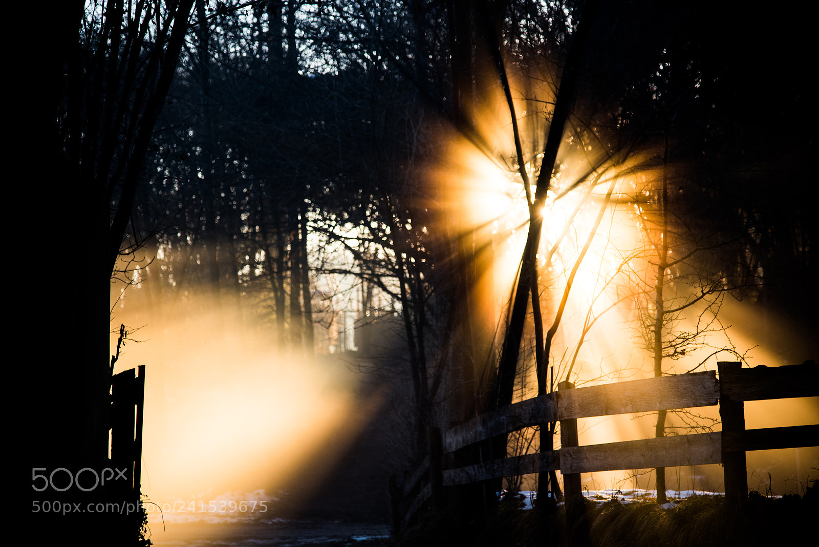 Nikon D810 sample photo. Untitled photography
