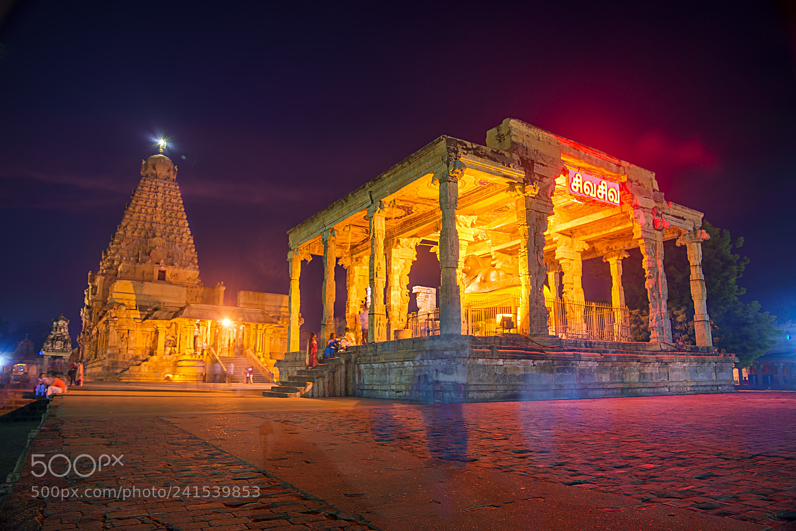 Nikon D800E sample photo. Brihadeeshwarar temple, tanjore photography