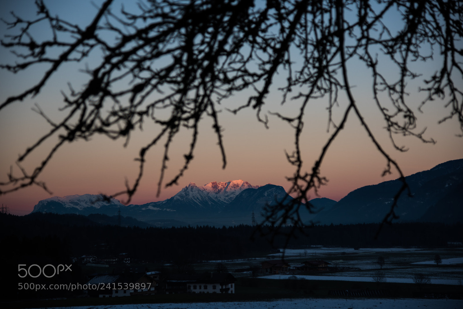 Nikon D810 sample photo. Untitled photography