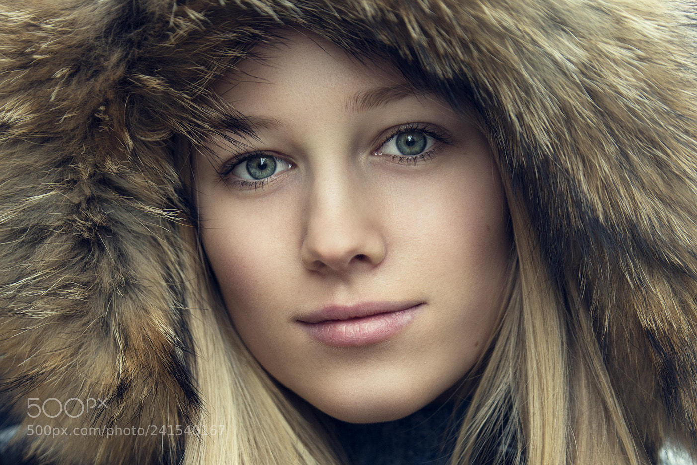 Nikon D800 sample photo. Close up photography