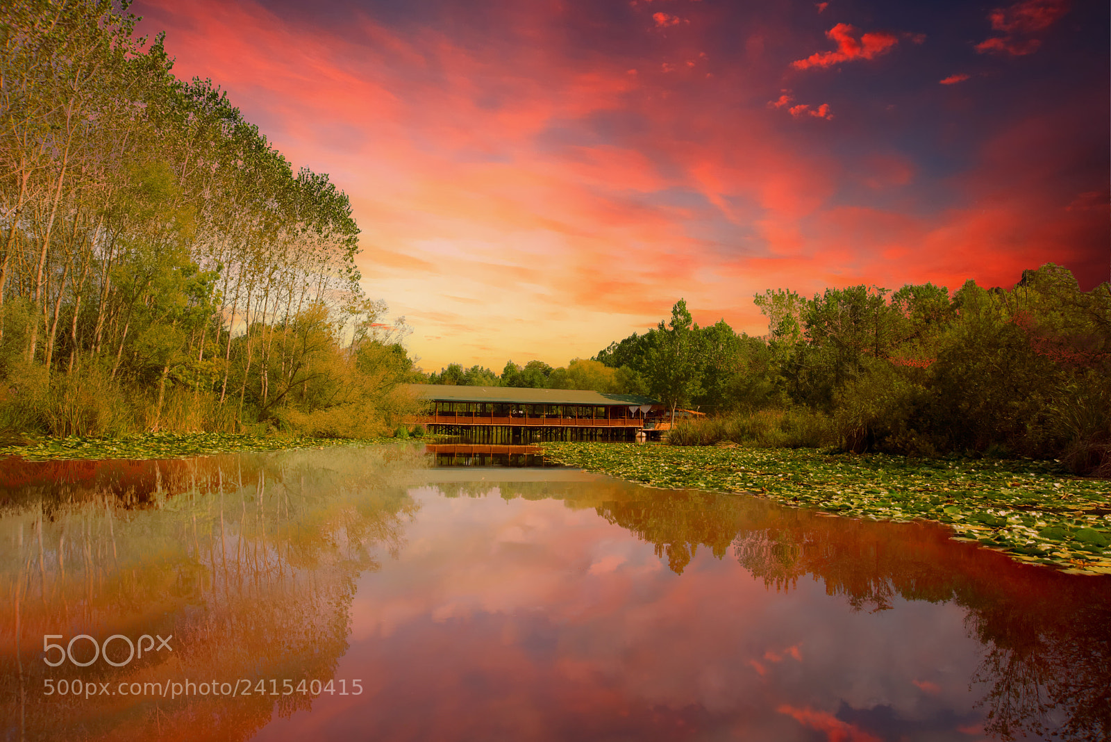 Nikon D810 sample photo. Red sky upon the photography