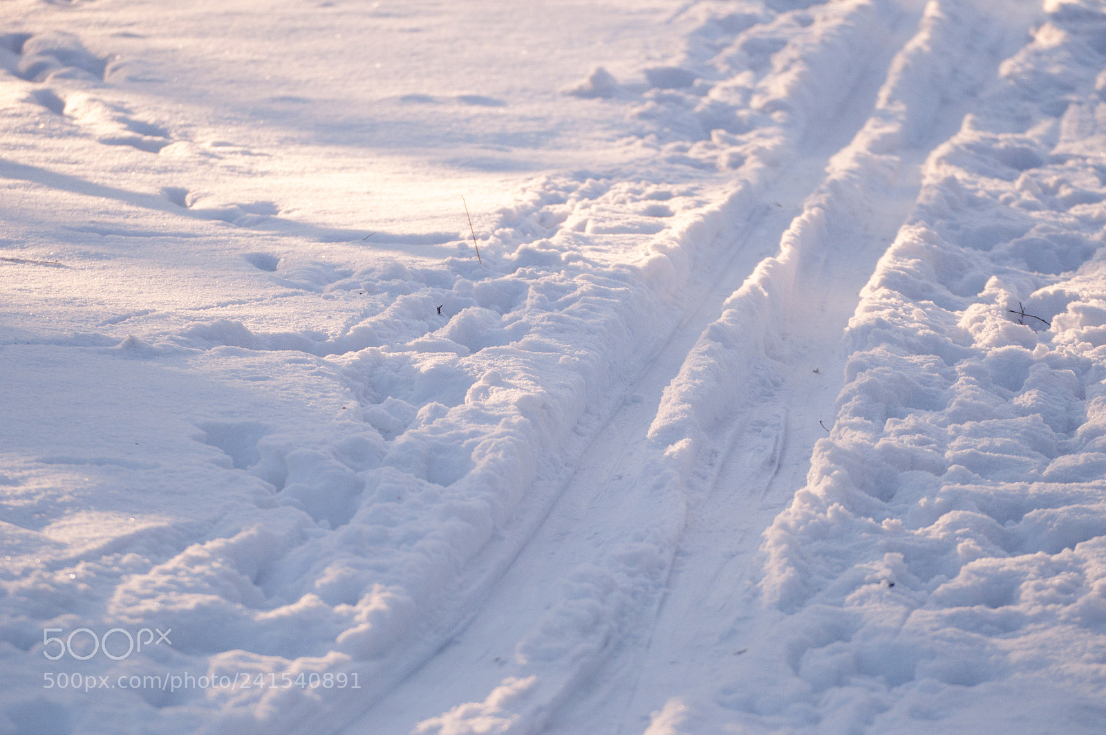 Nikon D5000 sample photo. Siberian psychology photography