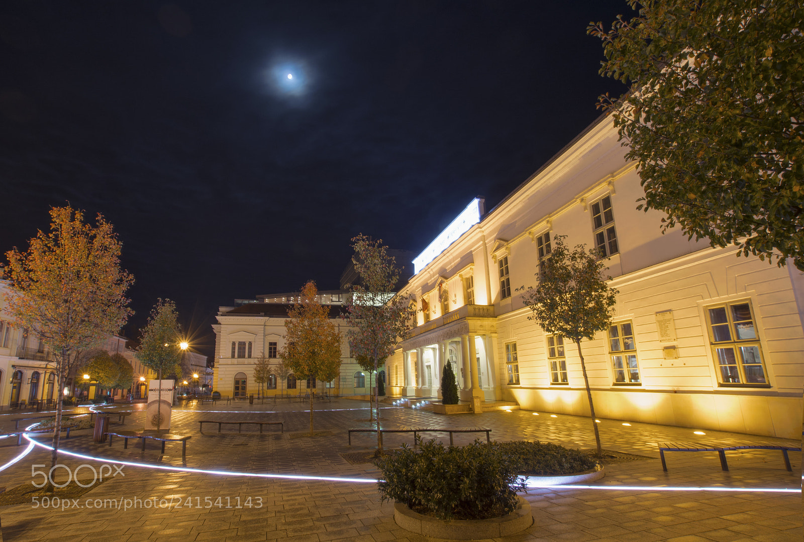 Nikon D7100 sample photo. Under the moonlight photography